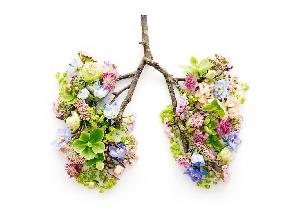 An image depicting a pair of lungs cleverly recreated using beautiful spring blooms, foliage and a branch. The image promotes the need for fresh air.