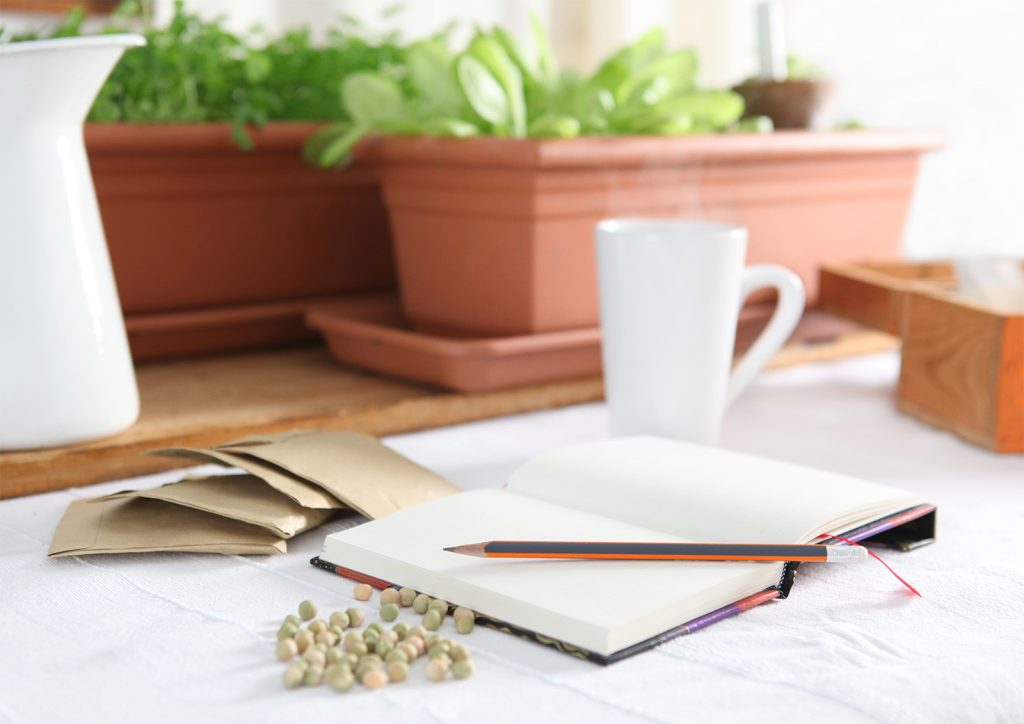 An image showing a table with two window box-style planters with green plants. There are seeds scattered on the table next to an open sketchbook and pencil for planning a flower garden. There is also a white mug and brown paper seed packets.