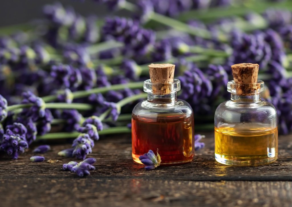 Photograph of two small corked bottles containing pure lavender essential oil. There are sprigs of fresh lavender in the background.