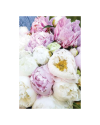 A photograph featuring beautiful pale pink, cream and white peonies.