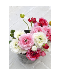 A top view image of a small bunch of mixed pink and cream Ranunculus in a glass vase or jar.