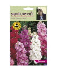 Sarah Raven's Stocks Seeds.