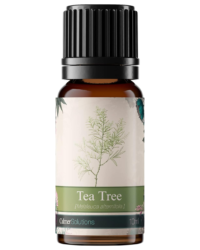 An image showing a 10ml bottle of Tea Tree Essential Oil from Calmer Solutions. The oil has many applications including making DIY cleaning products.