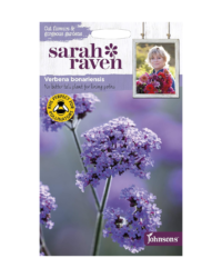 Sarah Raven's Verbena flower seeds.