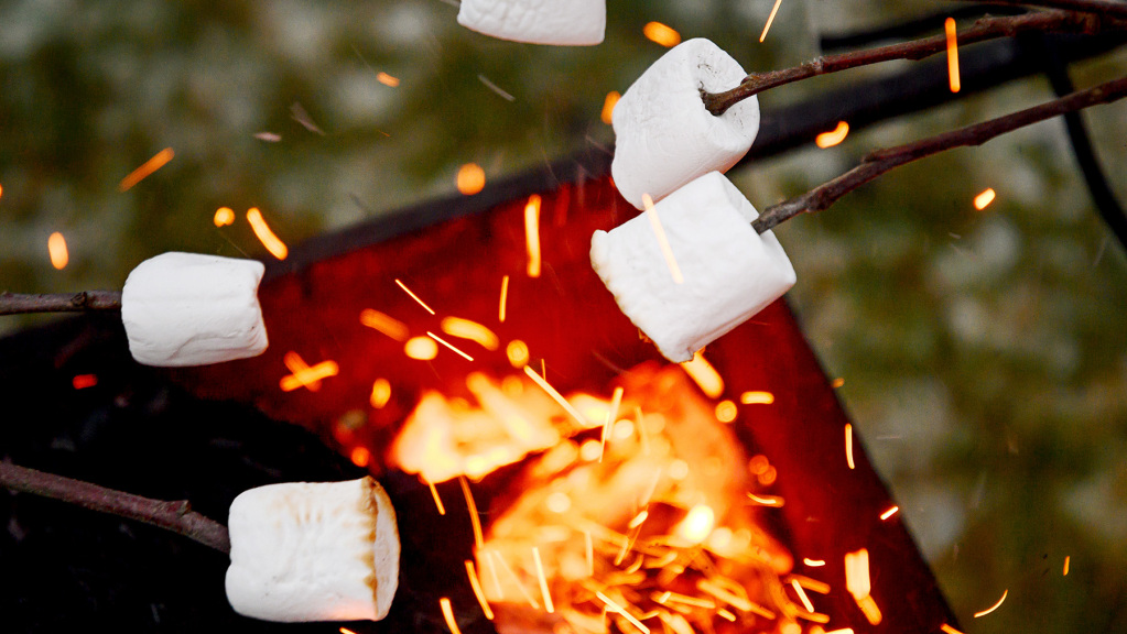 An image of roasting marshmallow sticks held over a campfire. 