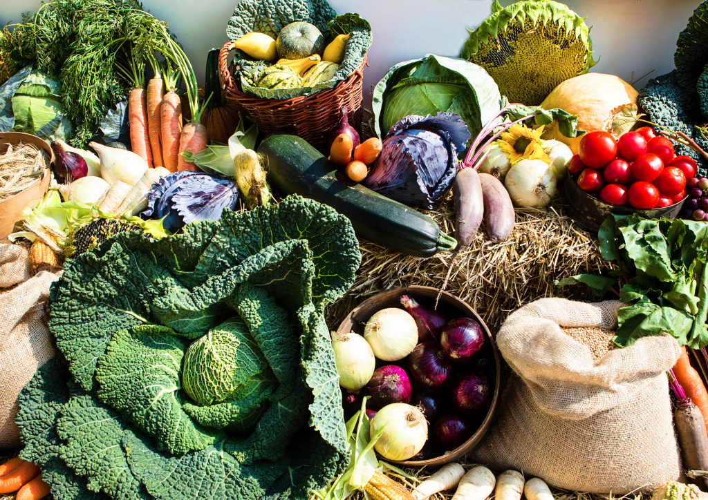 An image of a bountiful display of various harvest grains, fruits and vegetables.